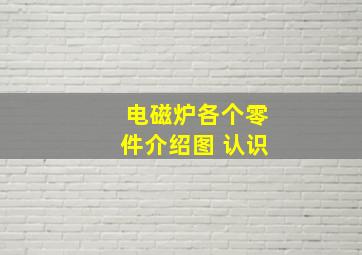 电磁炉各个零件介绍图 认识